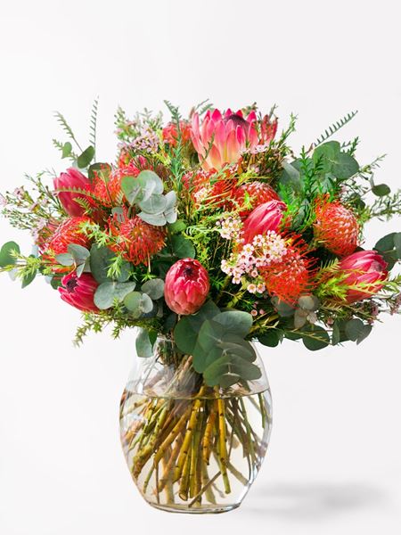 Phenomenal Protea + Fynbos Arrangement