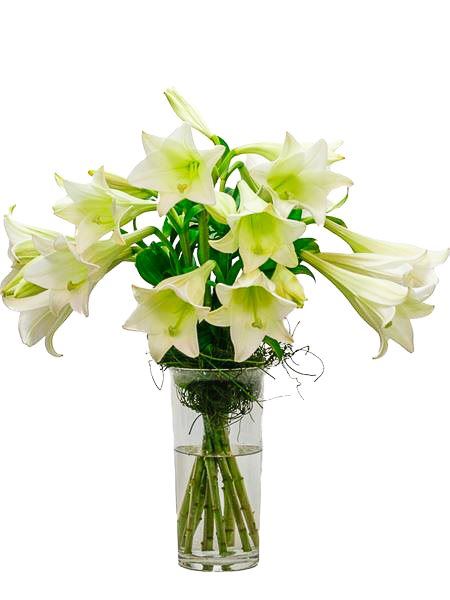 St Joseph Lily Vase Arrangement