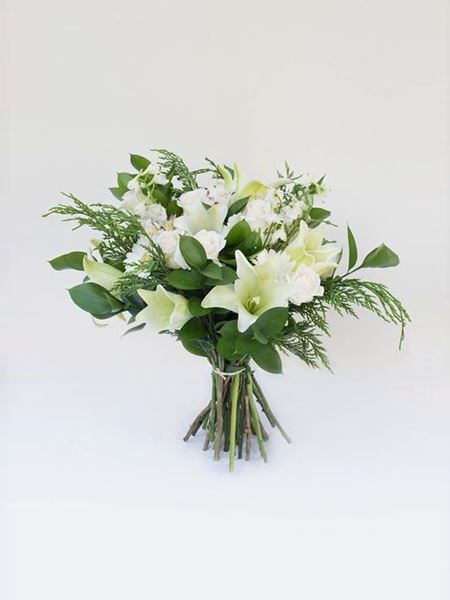 White Bunch